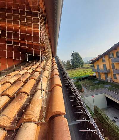 rete-antiuccelli-bergamo